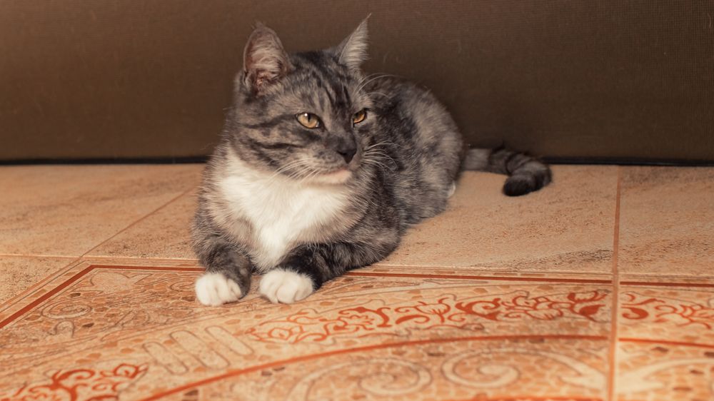 Photograph by Тамара Вотинцева