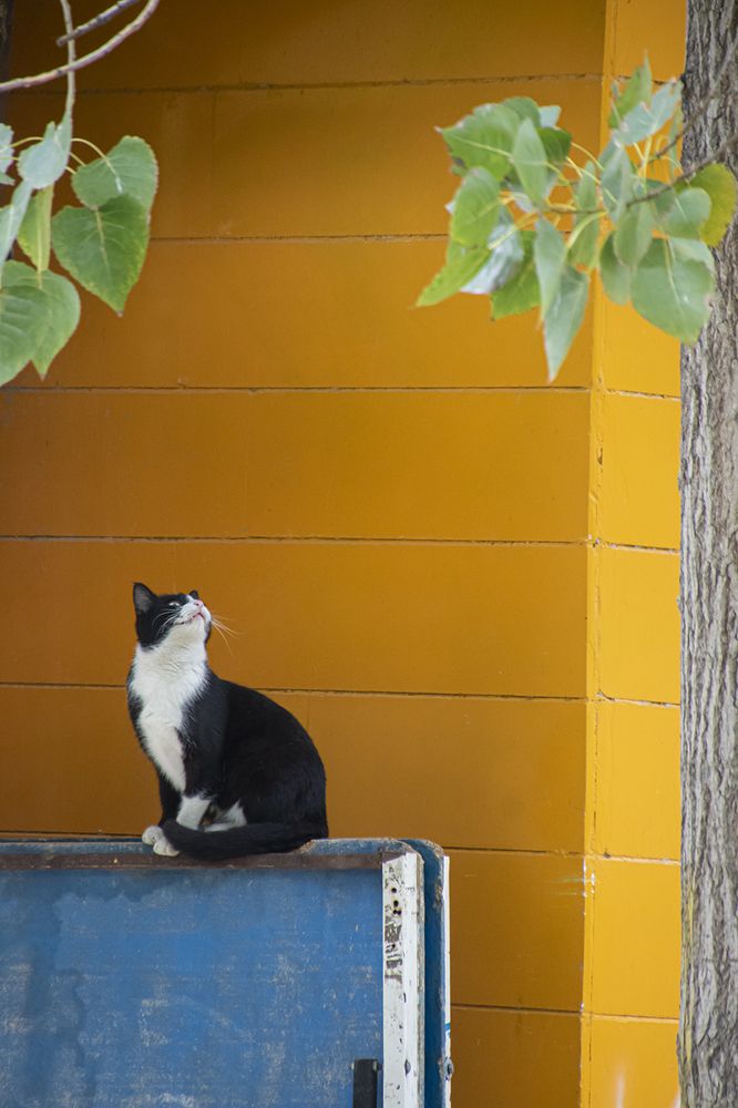 Look High Above Somtimes