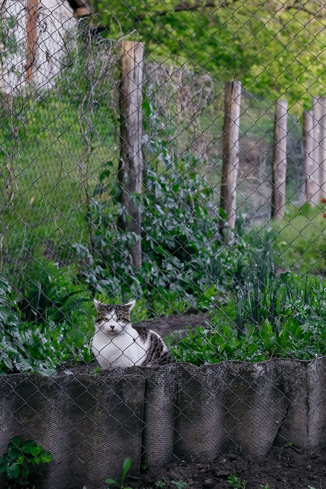 Photograph by Анна Леонова