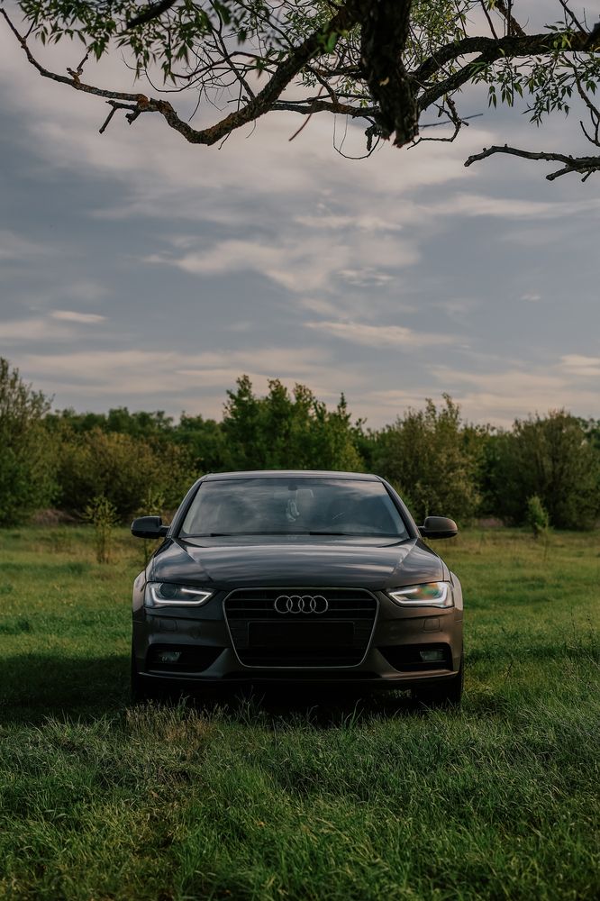 Photograph by Анна Леонова