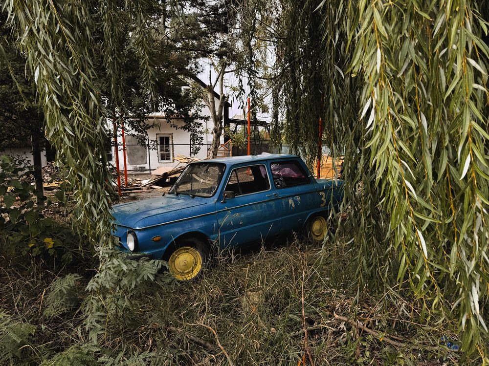 Photograph by Анна Голубцова