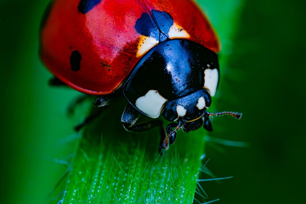 Photograph by Евгений Кириллов