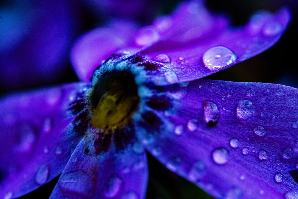 Photograph by Евгений Кириллов