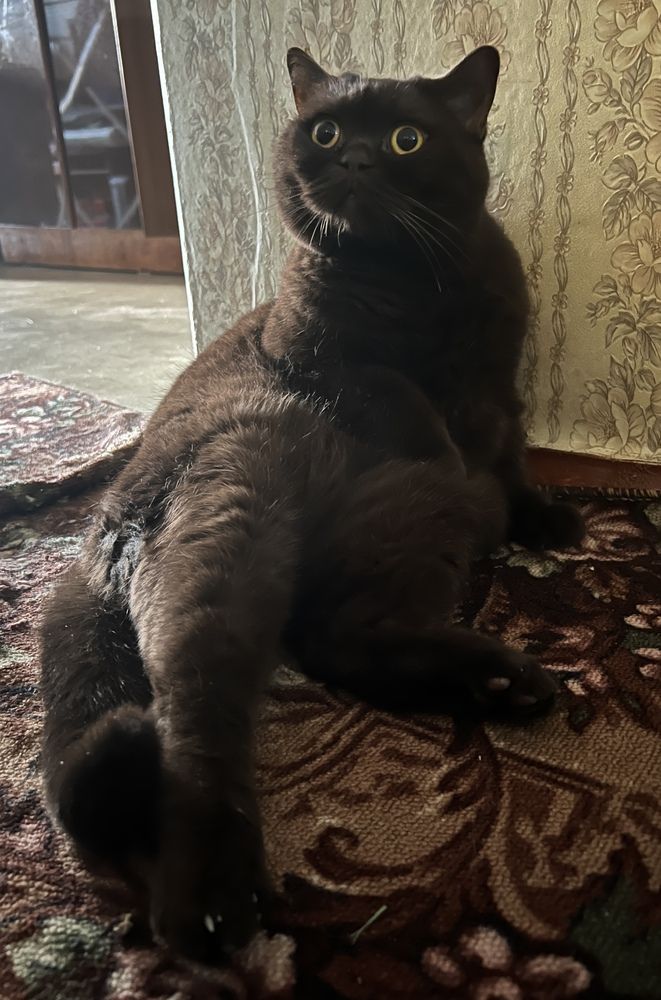 Photograph by Александра Акси