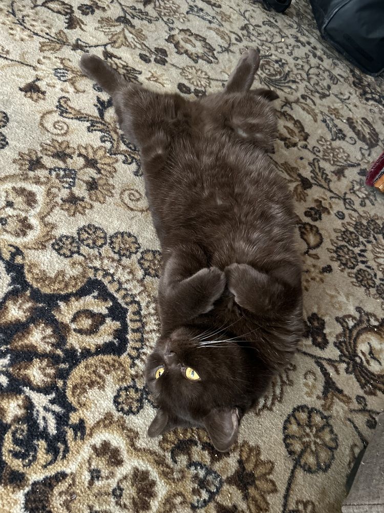 Photograph by Александра Акси