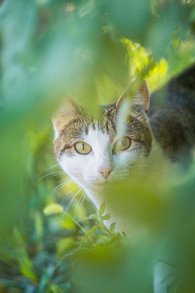 Photograph by Андрей Косяк