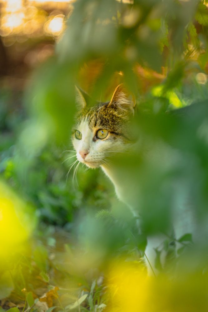 Photograph by Андрей Косяк