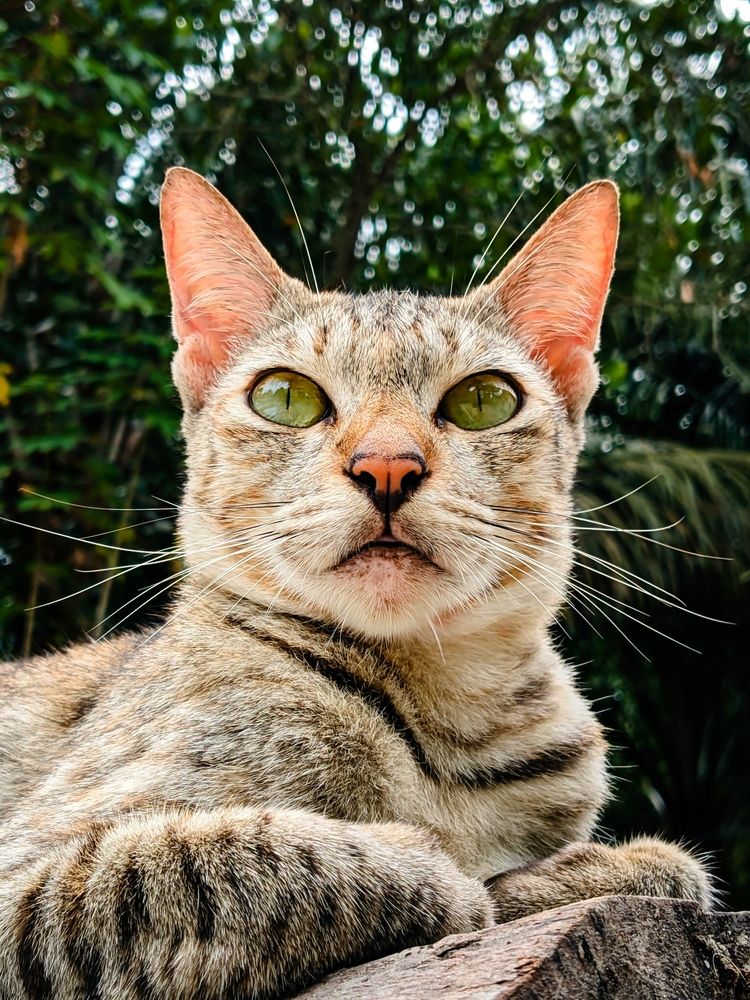 Photograph by Khairul Zamzami