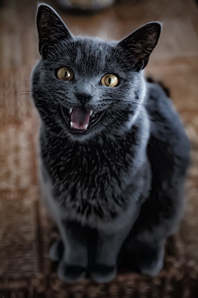 Photograph by Светлана Лукошкина