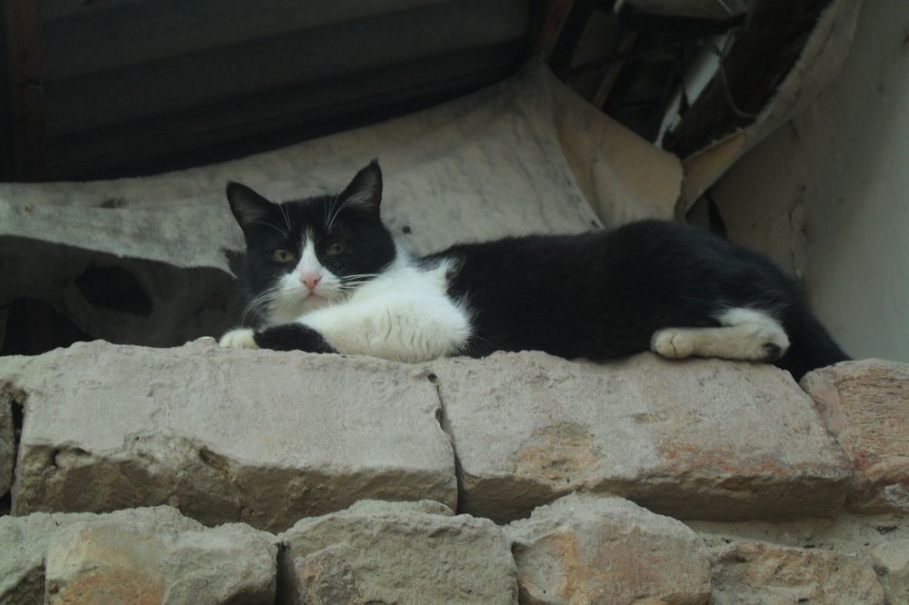 Photograph by Эдик Нуран