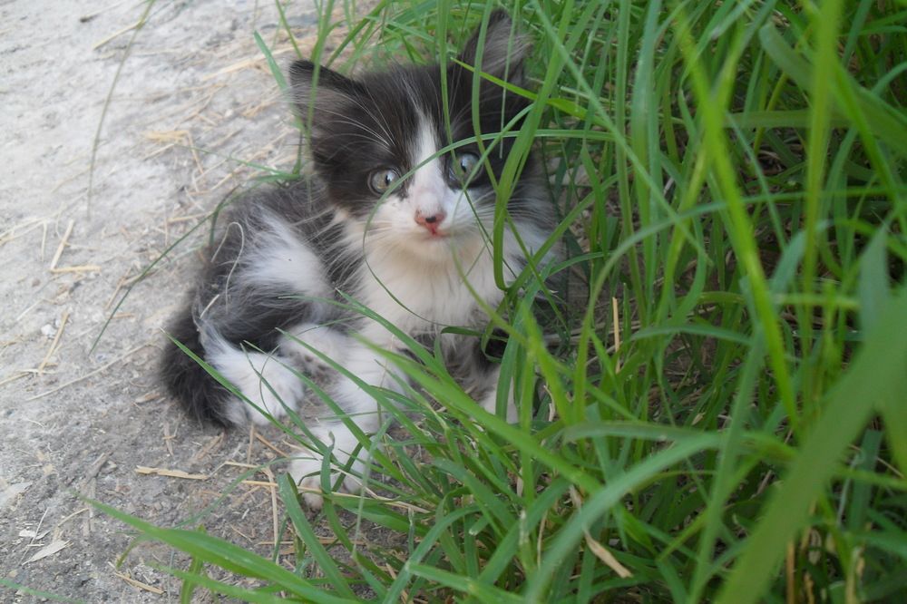 Photograph by Эдик Нуран