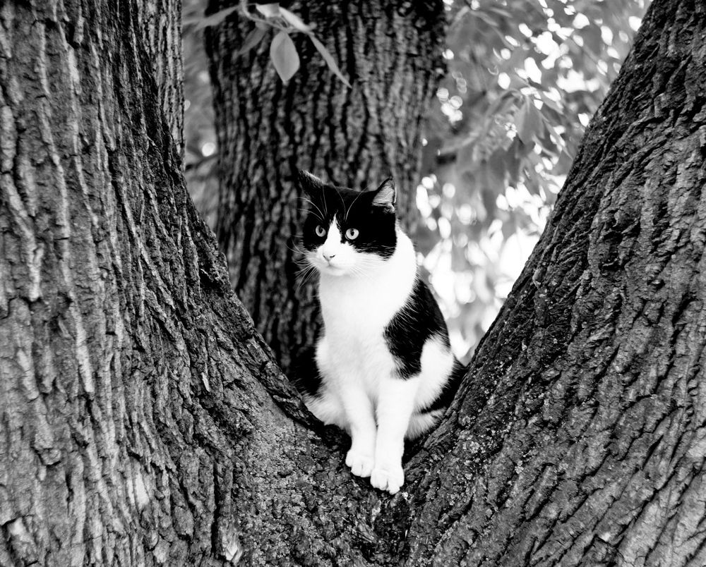 Photograph by Леонид Уральский