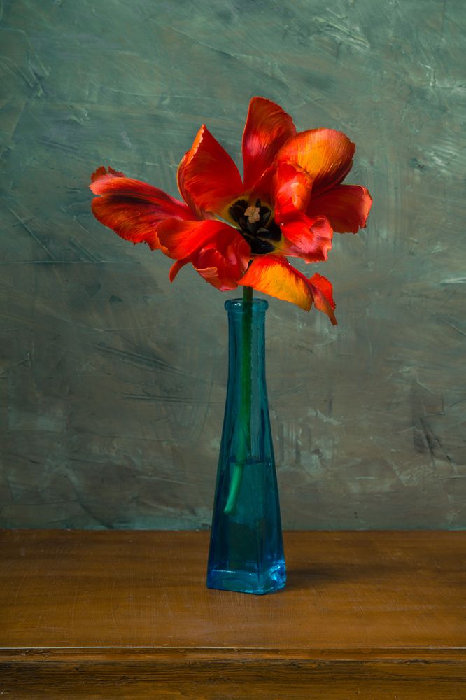 Photograph by Сергей Алексеев