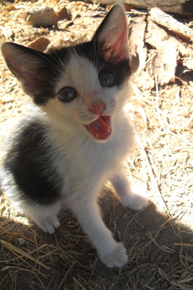 Photograph by Эдик Нуран