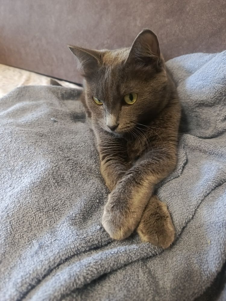 Фотография автора Ольга Петрова