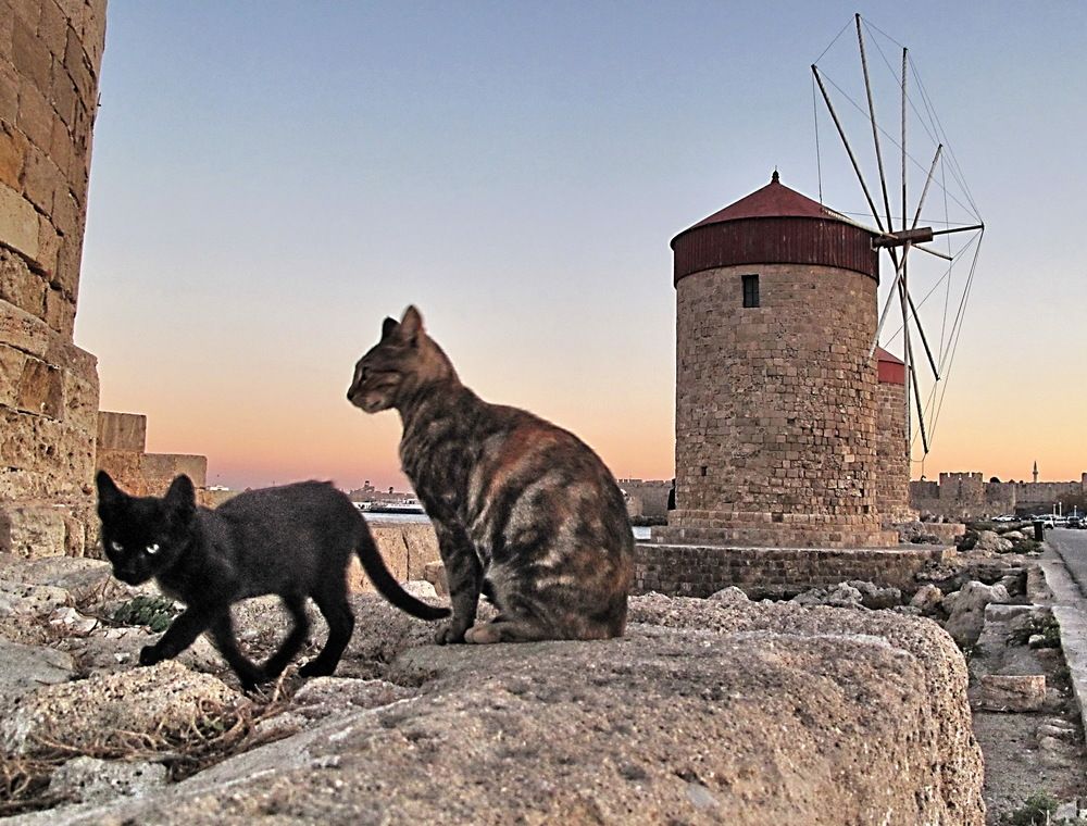 Photograph by Александр Лазебник