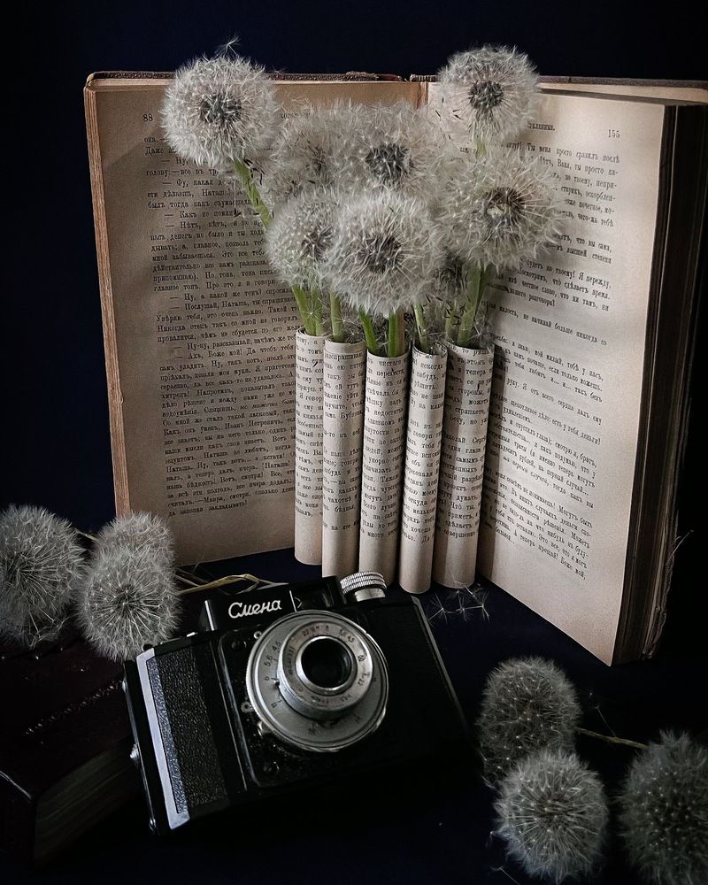 Photograph by Алена Жирова