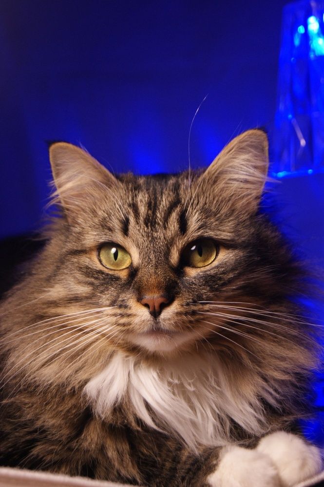 Photograph by Елена