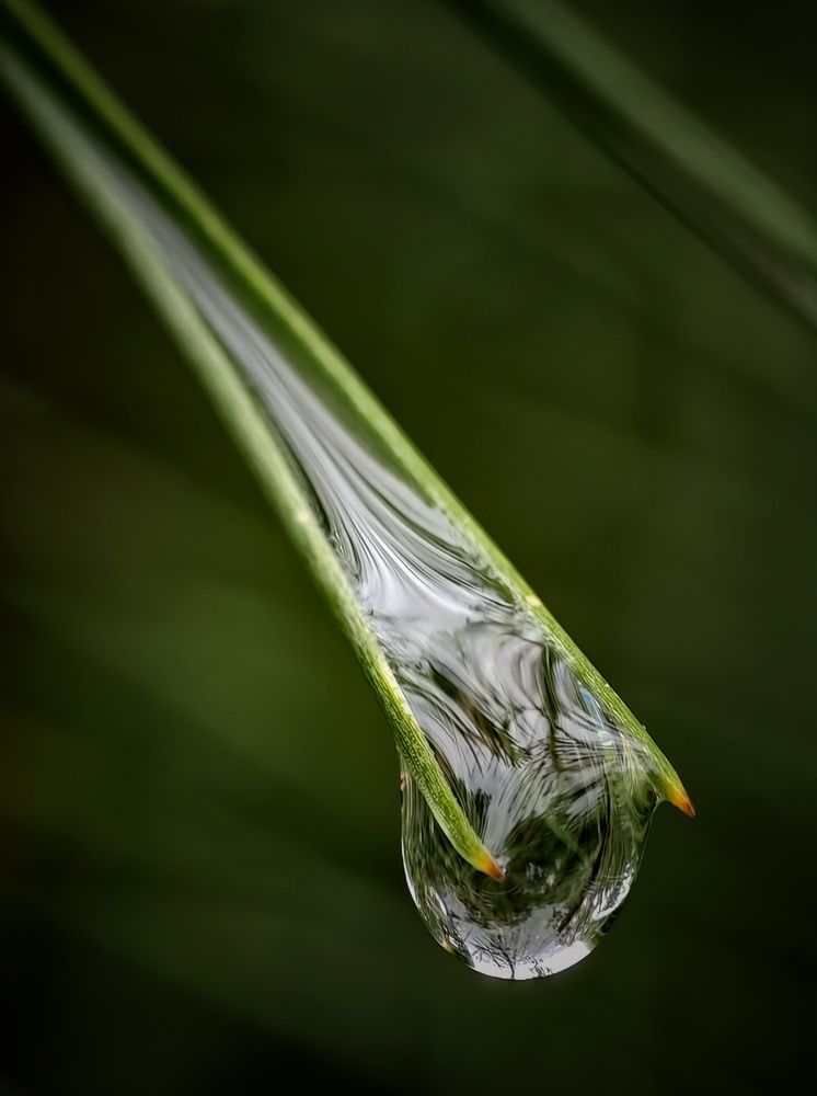 Photograph by Михаил Саидов