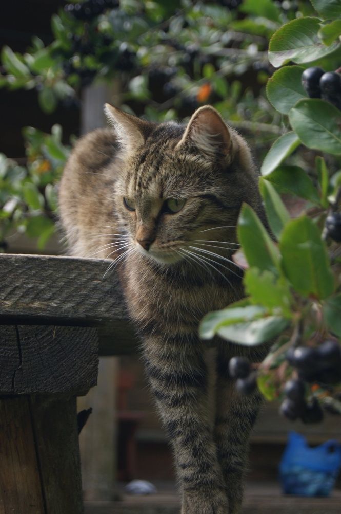 Photograph by Елена