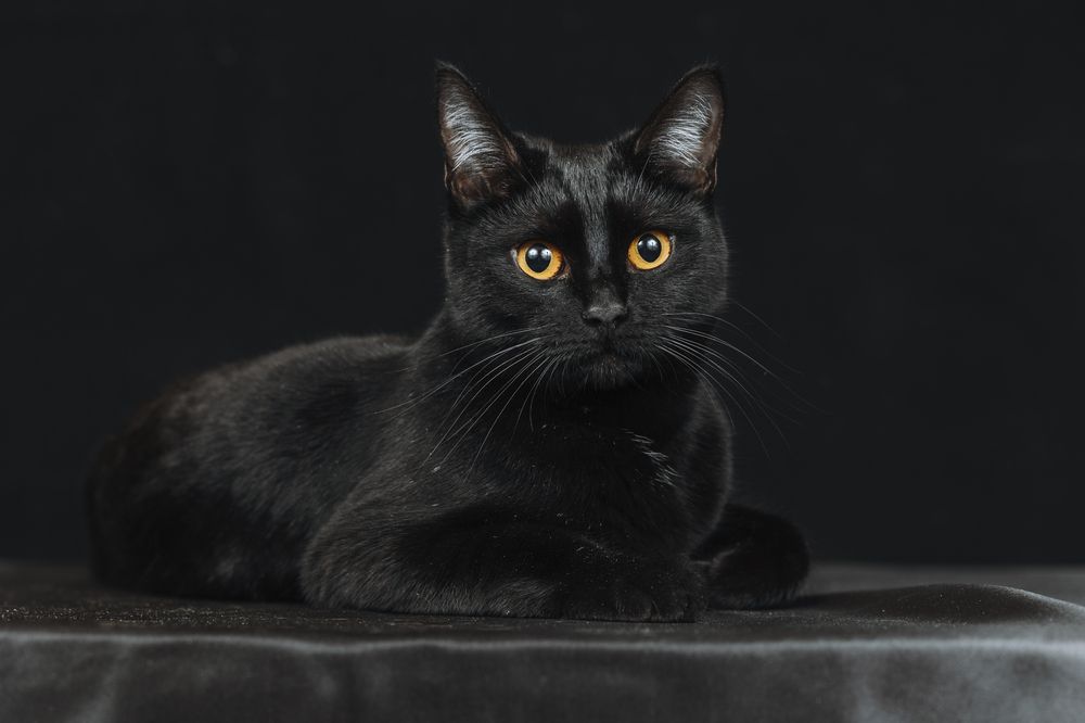 Photograph by Светлана Степашина