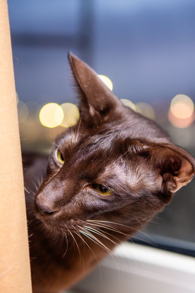 Photograph by Vjaceslavs