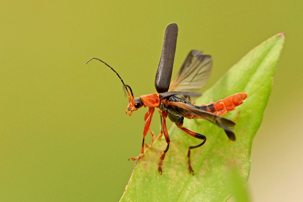 Photograph by Marjo Steffen