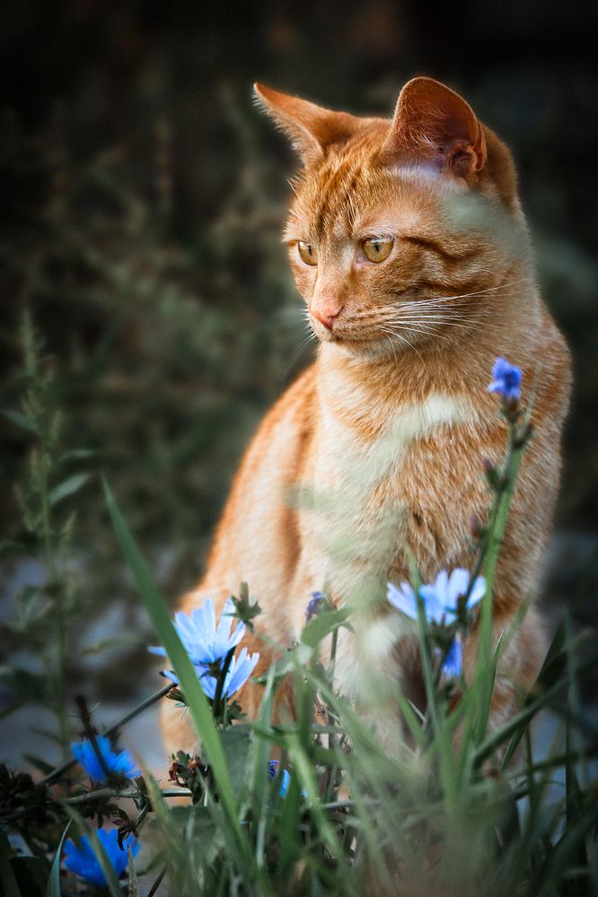 Photograph by Иван Вострецов