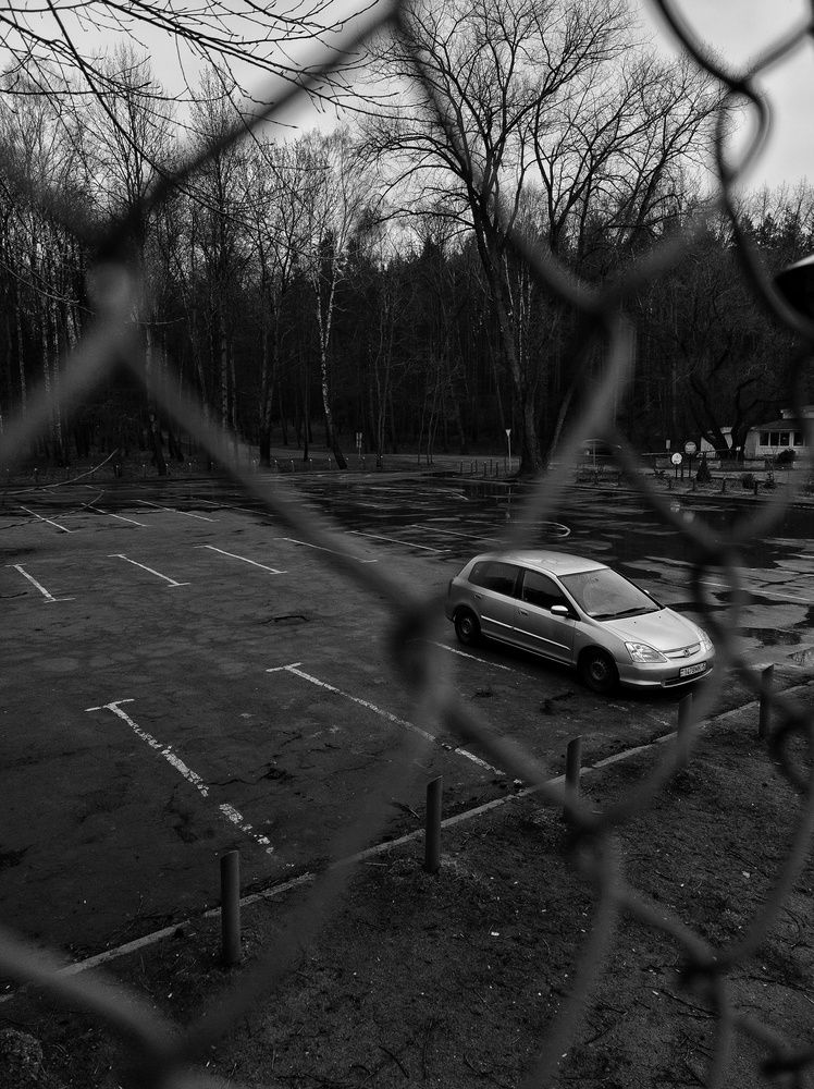 Photograph by Алина