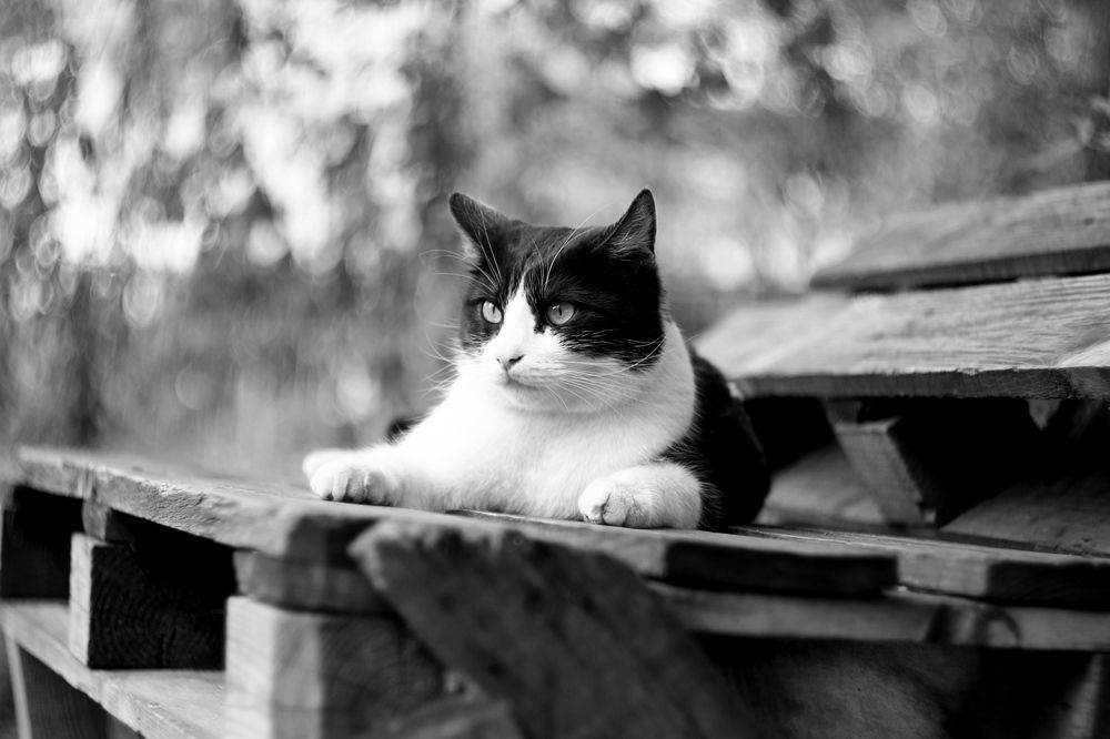 Photograph by Леонид Уральский