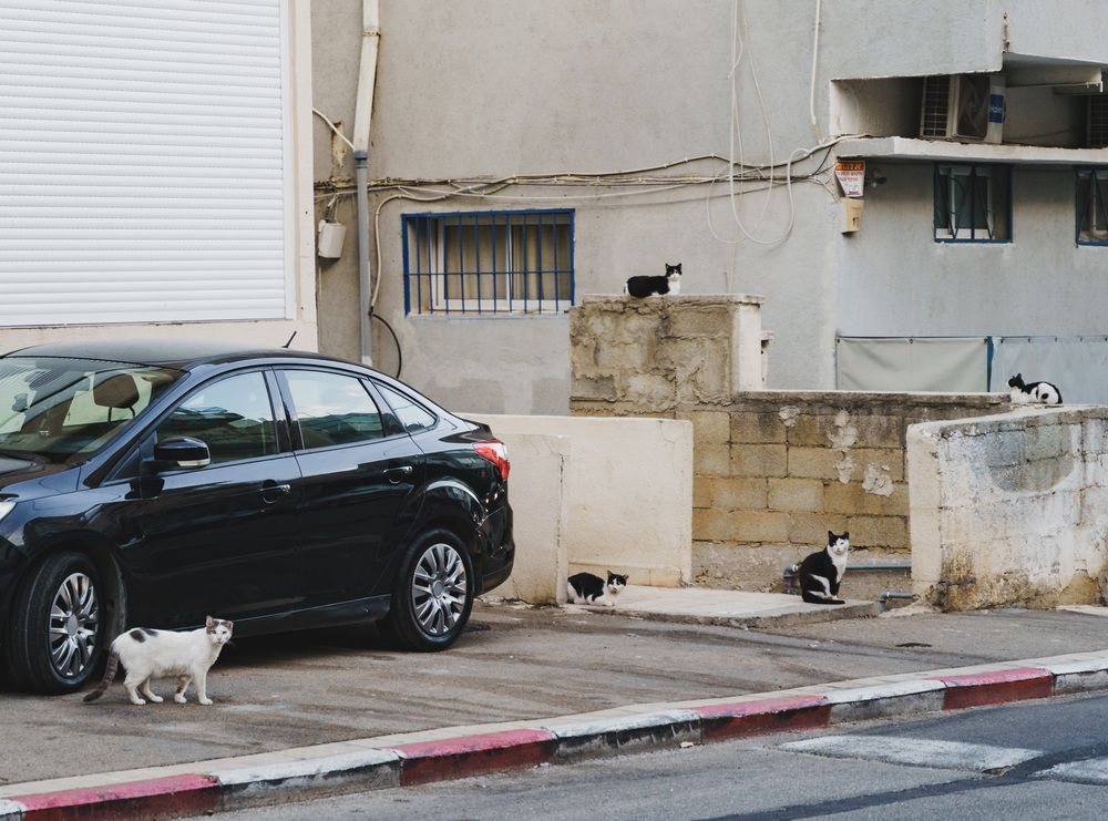 Photograph by Александр Кучерявый