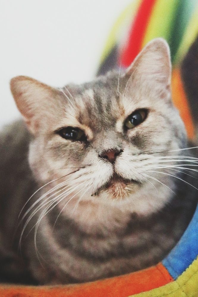 Photograph by Jonna Sabenorio