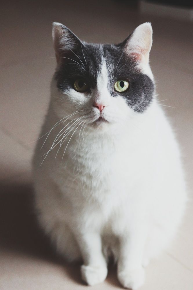 Photograph by Jonna Sabenorio