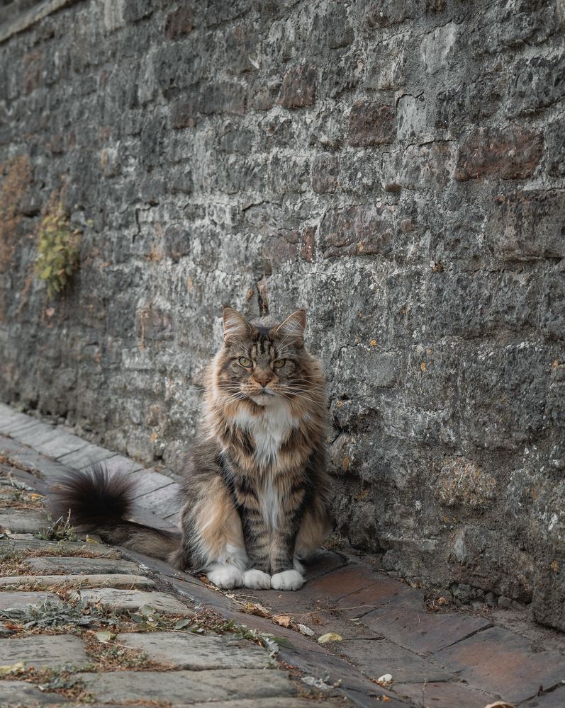 Photograph by Vitalij Bobrovic