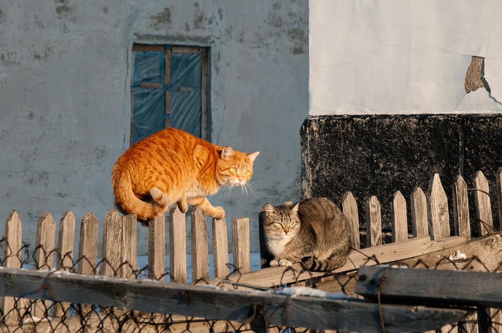 Photograph by Ирина Яук