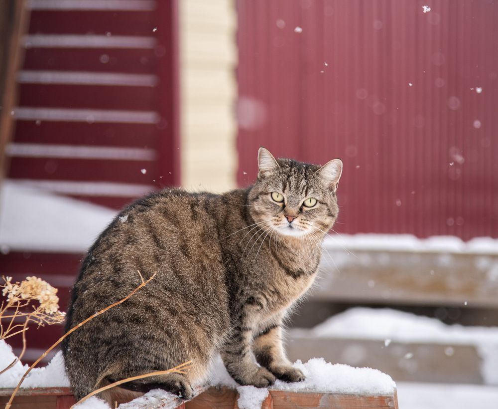 Photograph by Ирина Яук