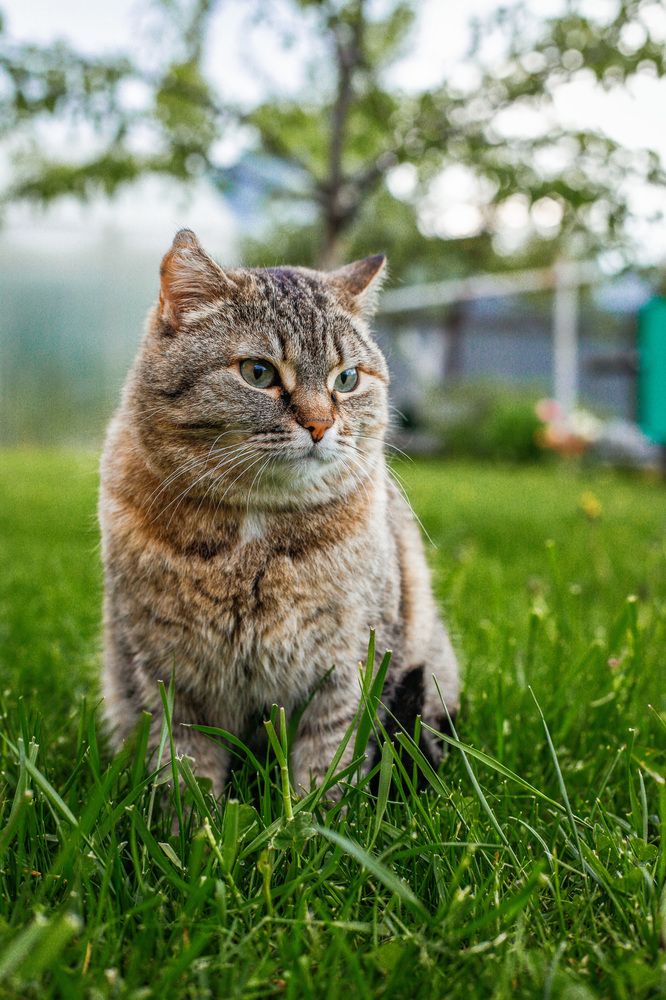 Photograph by Юлия Горчакова