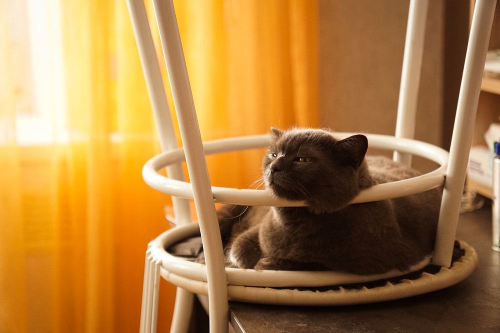 Photograph by Оксана Некрасова