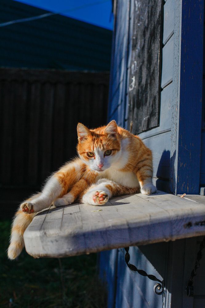 Photograph by Юлия Горчакова