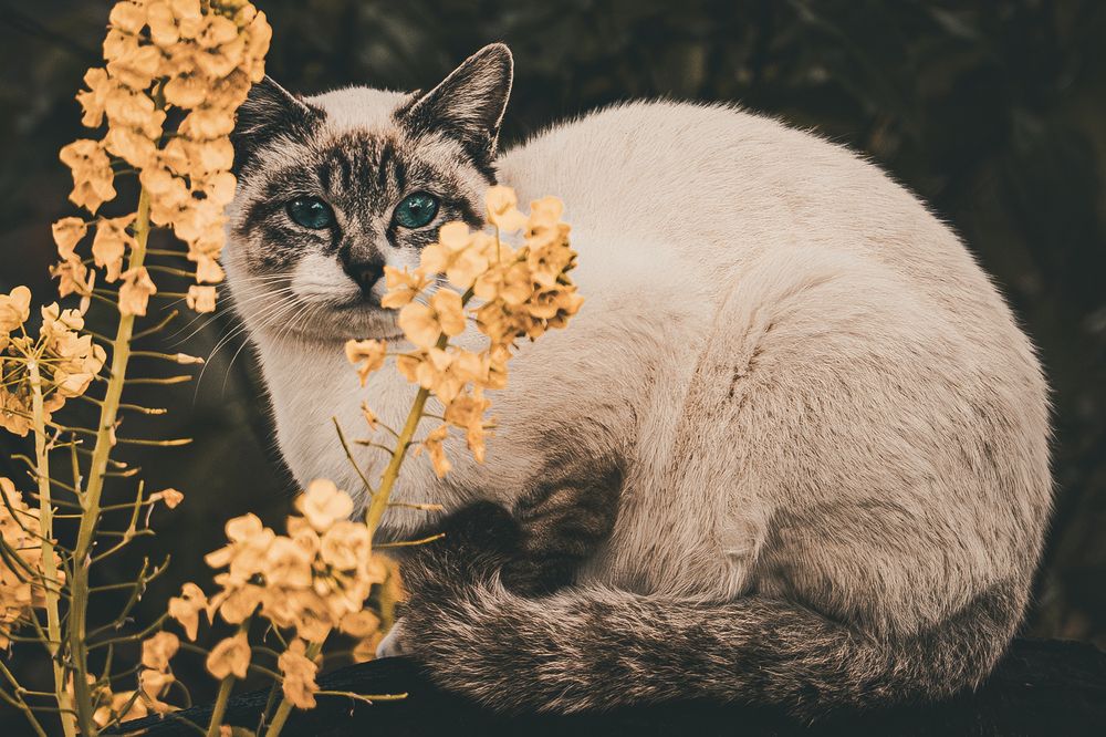 Photograph by ryuichi