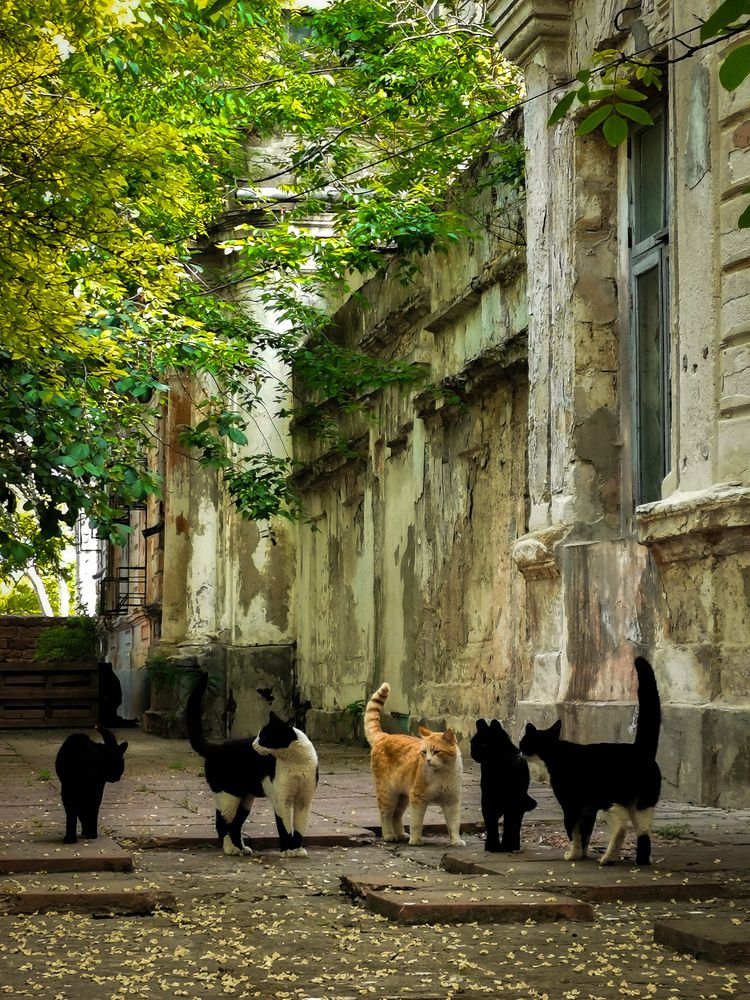 Photograph by Мария Цепилова