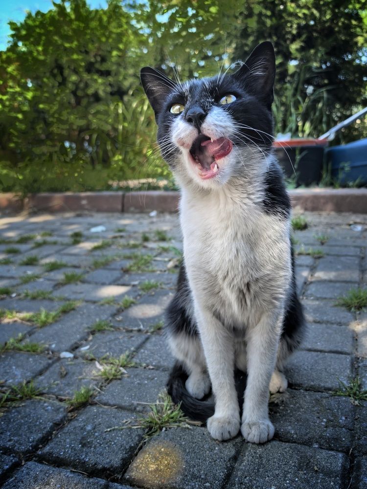 Photograph by Кривенко Владимир