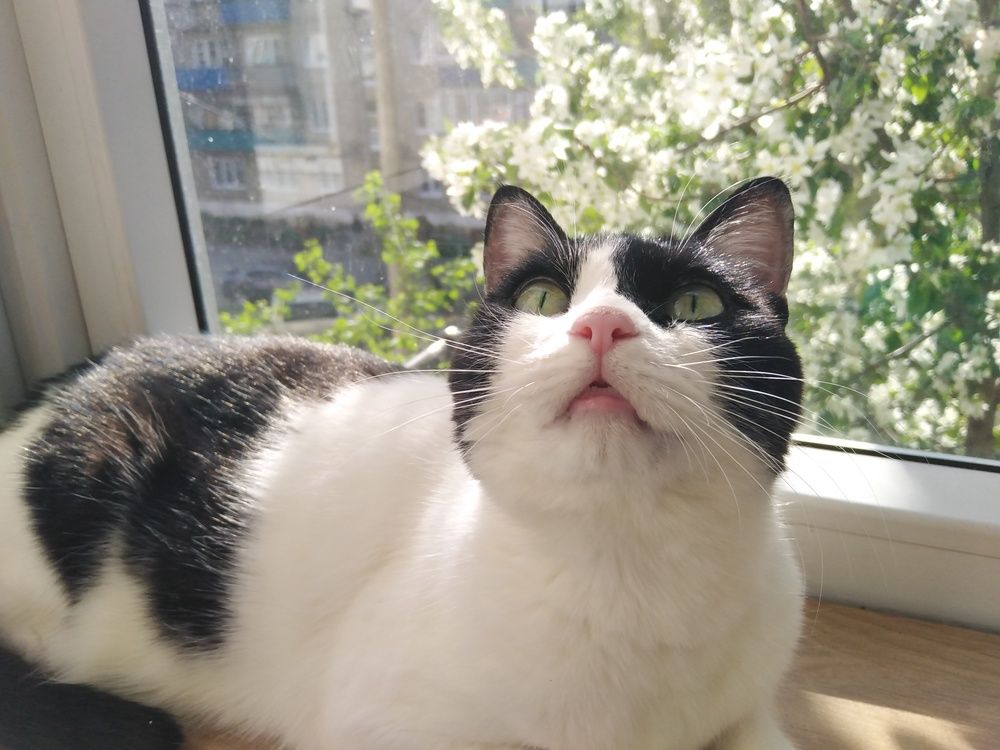 Photograph by Екатерина Чеснокова