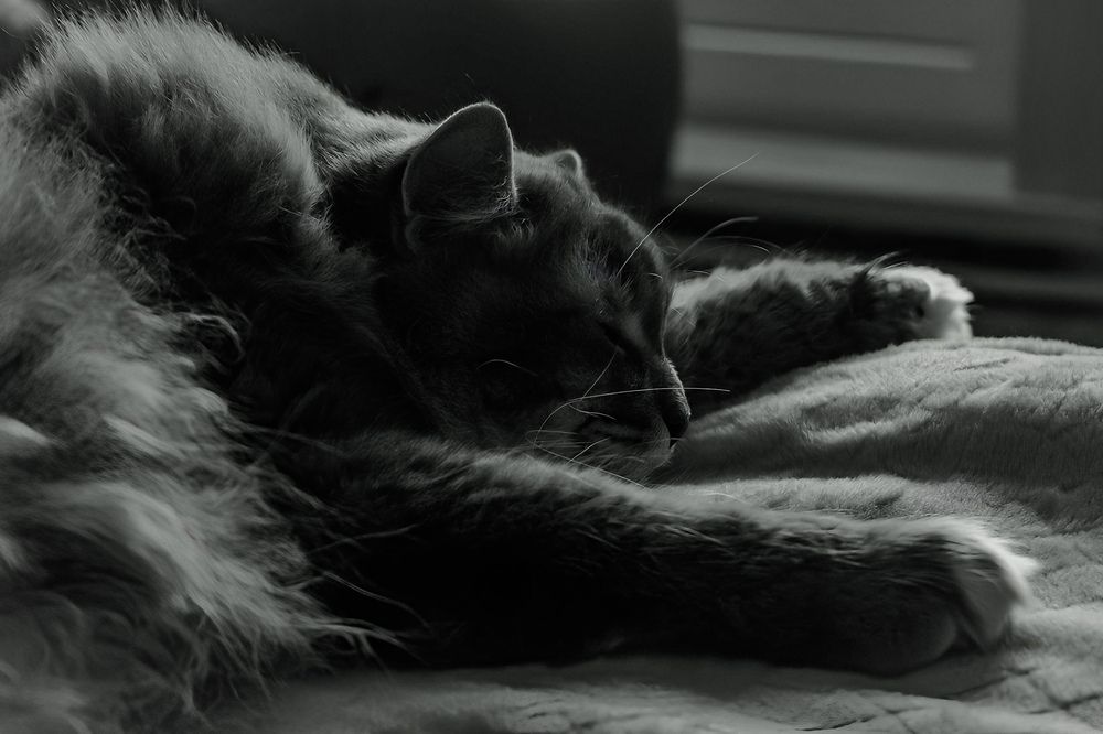 Photograph by Алёна