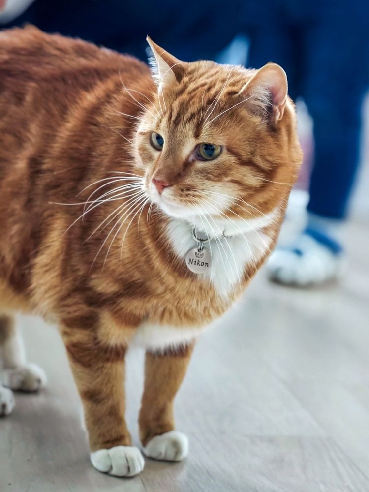 Photograph by Татьяна Соколовская