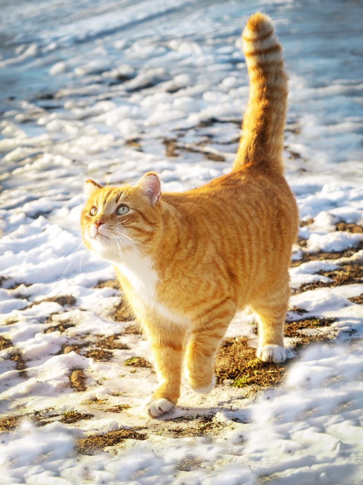 Фотография автора Lija Mežecka