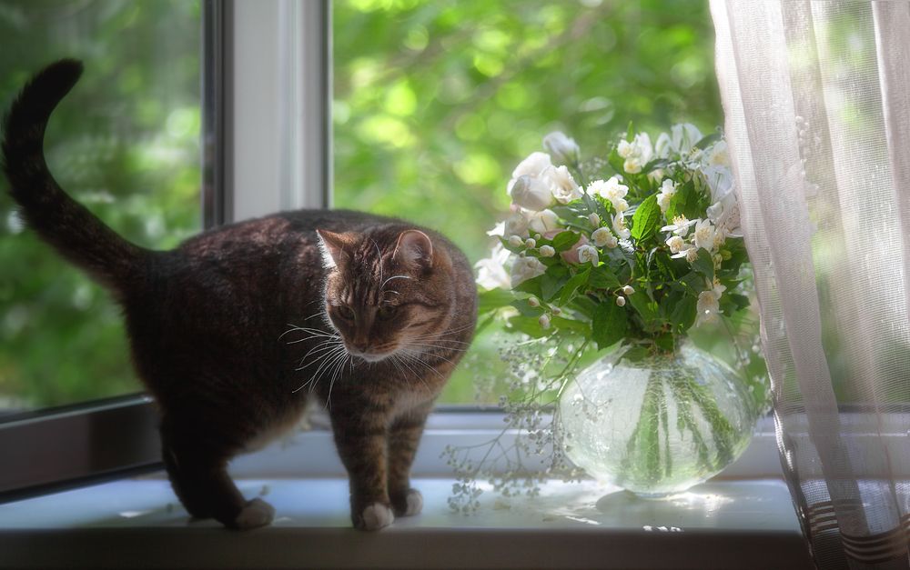 Photograph by Ирина Заколдаева