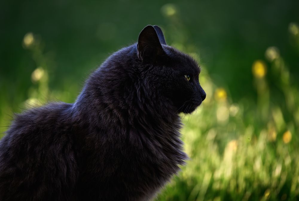 Photograph by Мария Ирешева