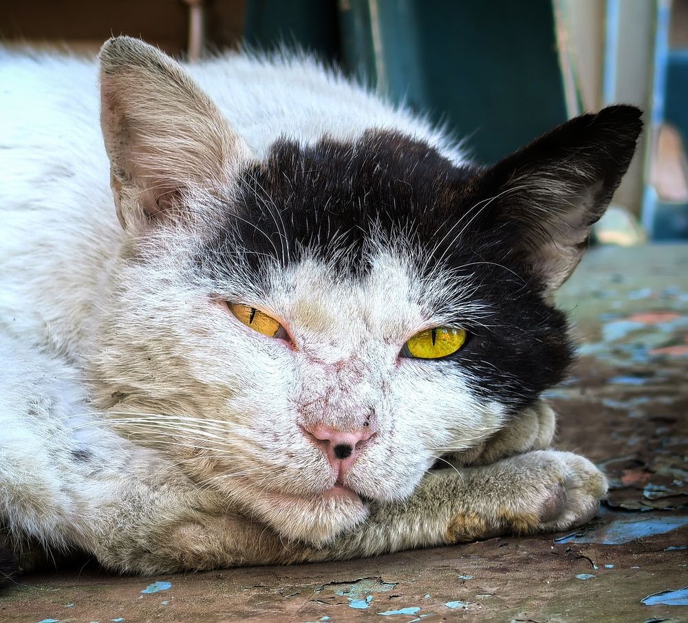 Photograph by Кривенко Владимир