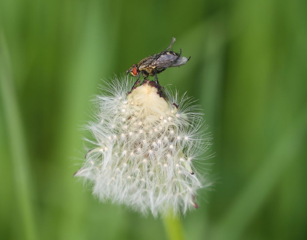 Photograph by Станислав Вершинин